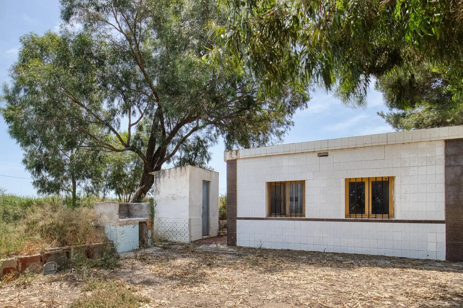 Vista exterior de Finca rústica en venta en Elche / Elx con Jardín privado, Terraza y Trastero
