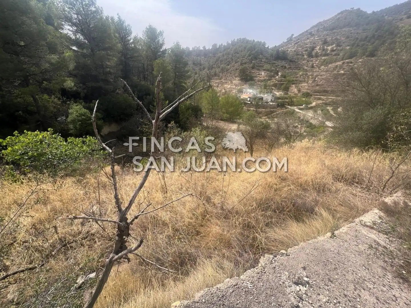 Finca rústica en venta en Relleu