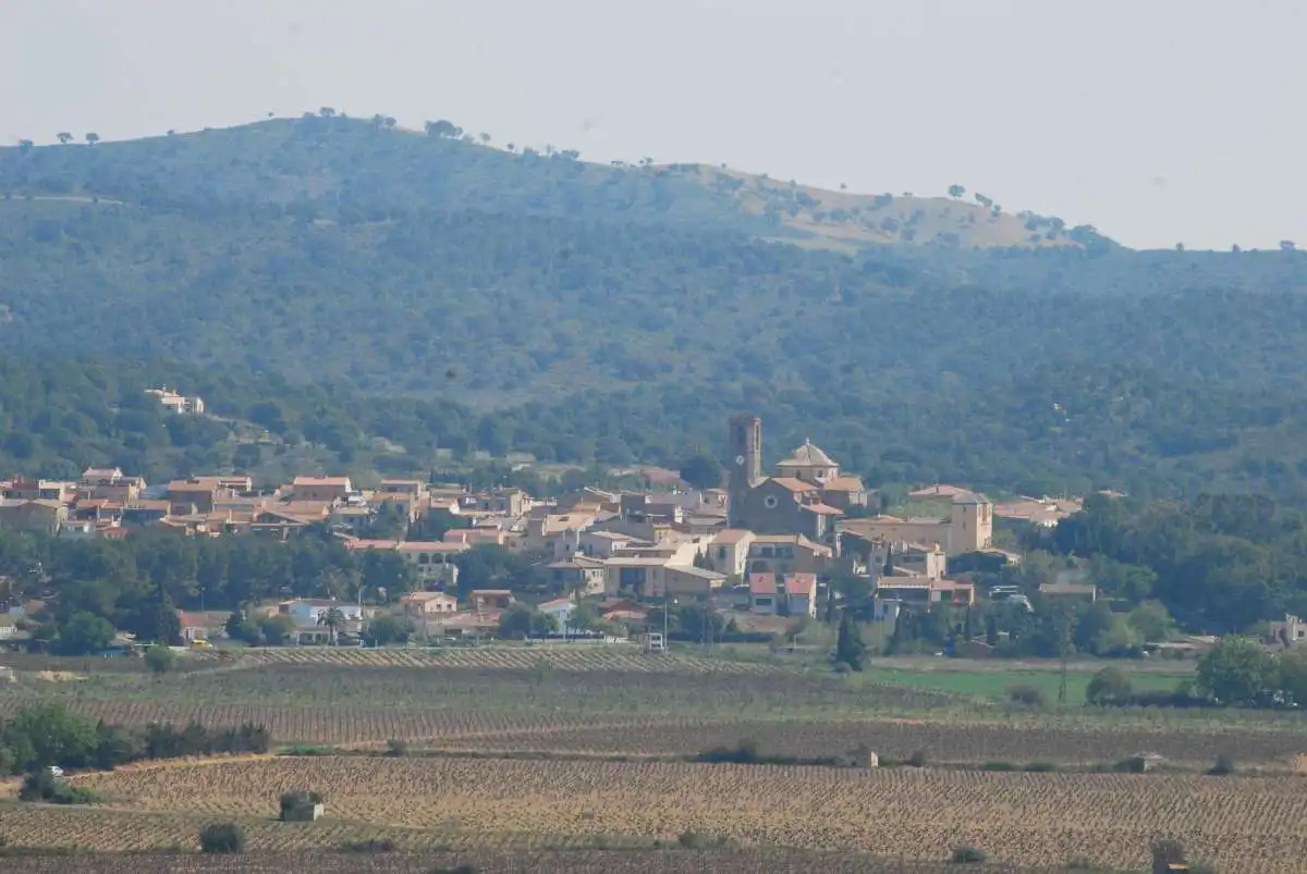 Lands and plots for sale in Garriguella, imagen 6
