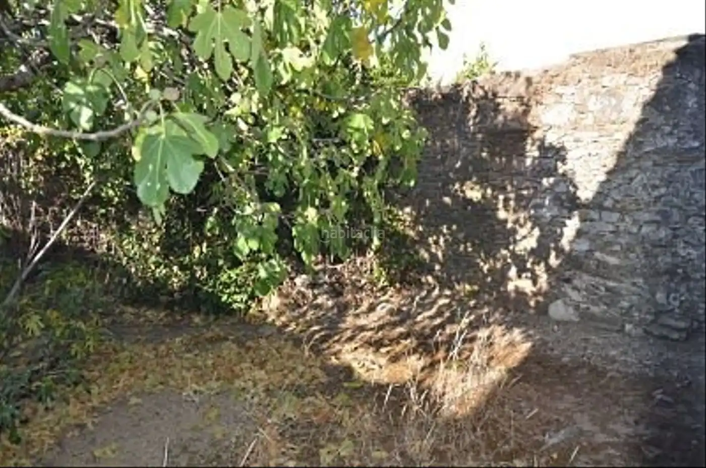 Casa en venda a Calle Chaparral 12, imagen 5