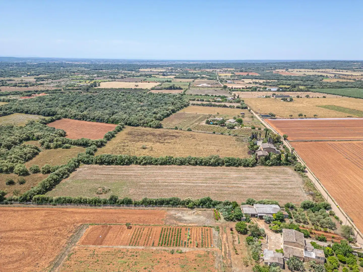 Rural land for sale in Felanitx Poble, imagen 11