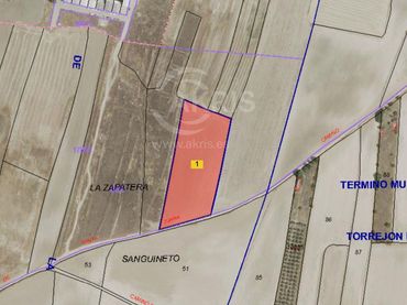 Rural land for sale in Poligono 005
