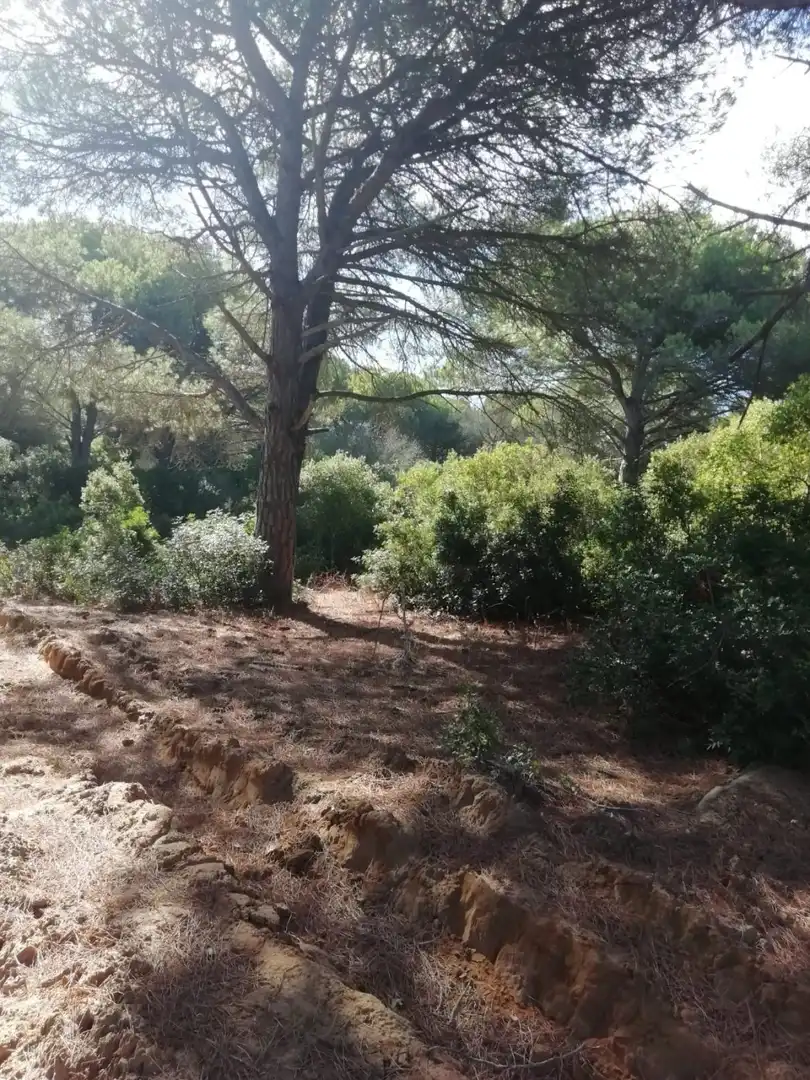 Terreno residencial en venta en Vejer, imagen 4