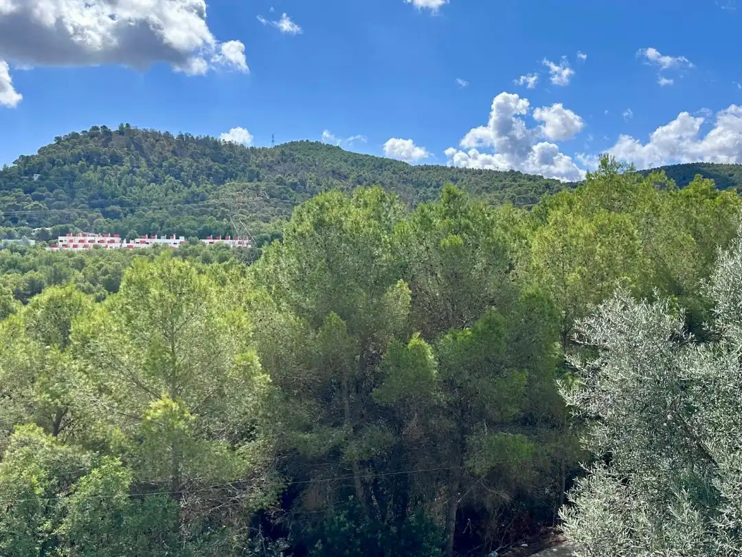 Vista exterior de Casa adosada en venda en Gilet amb Terrassa, Piscina i Balcó