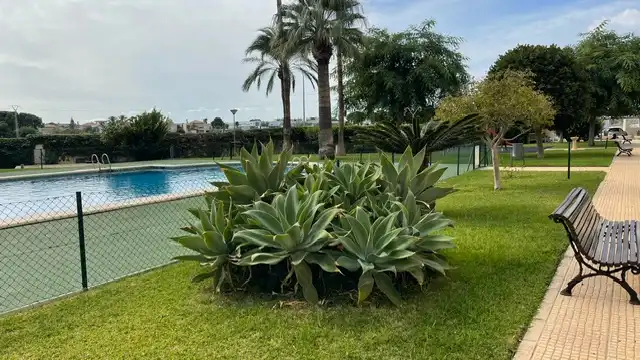 Garden of Attic for sale in Playa Muchavista