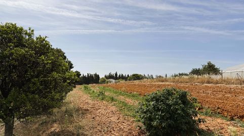 Photo 4 of Land for sale in Ds Pago Melilla 657 Suelo Polígono 16 Parcela 657, Las Lagunas - Campano, Chiclana de la Frontera