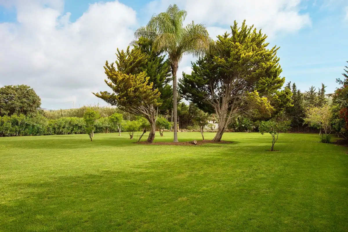 Jardín de Terreno en venta en Manilva