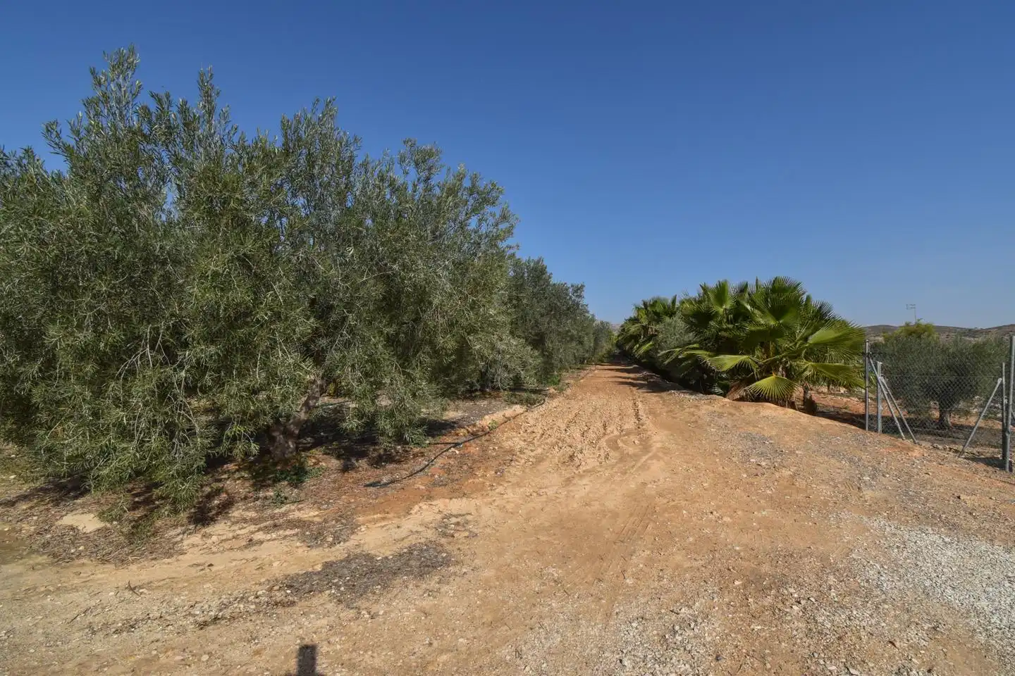 Rustikales Grundstück zum Verkauf in Partida Torrellano Alto, imagen 34