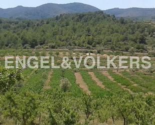 Residencial en venda a Masía Escrich, Segorbe