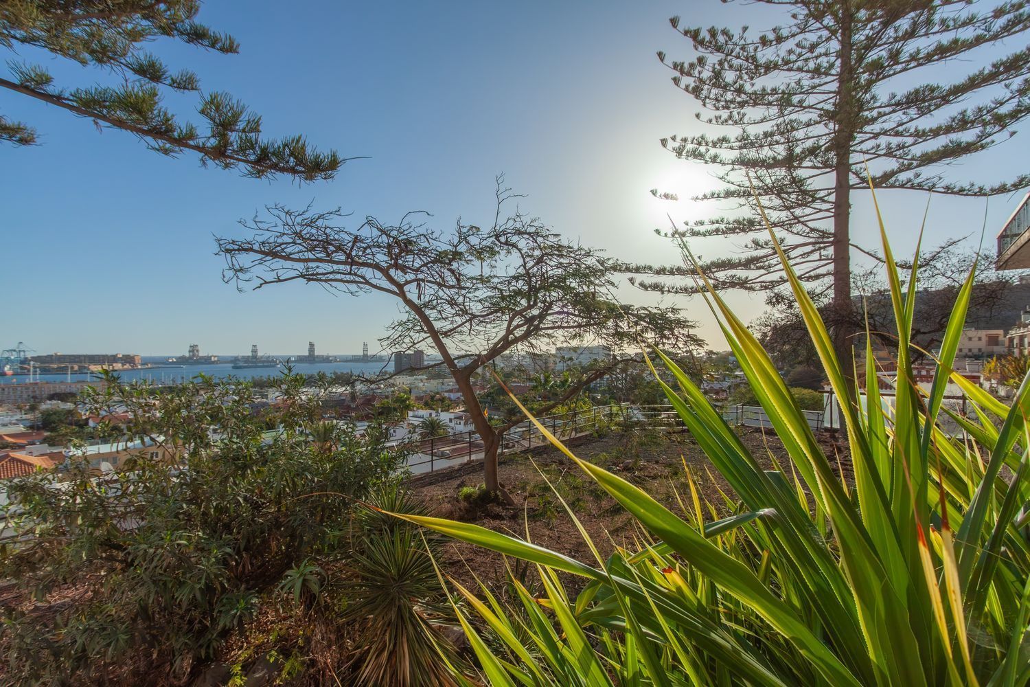 Casa o xalet en venda en Las Palmas de Gran Canaria amb Jardí privat, Terrassa i Traster