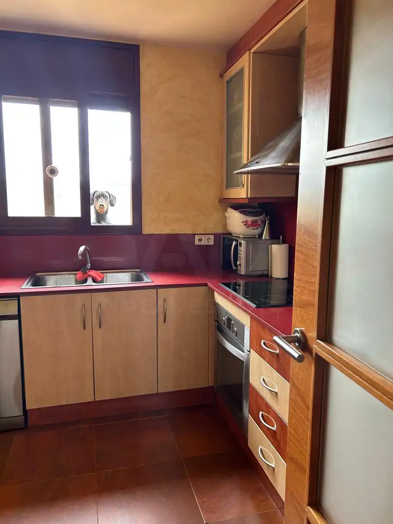 Kitchen of Flat for sale in Bonastre  with Heating and Terrace
