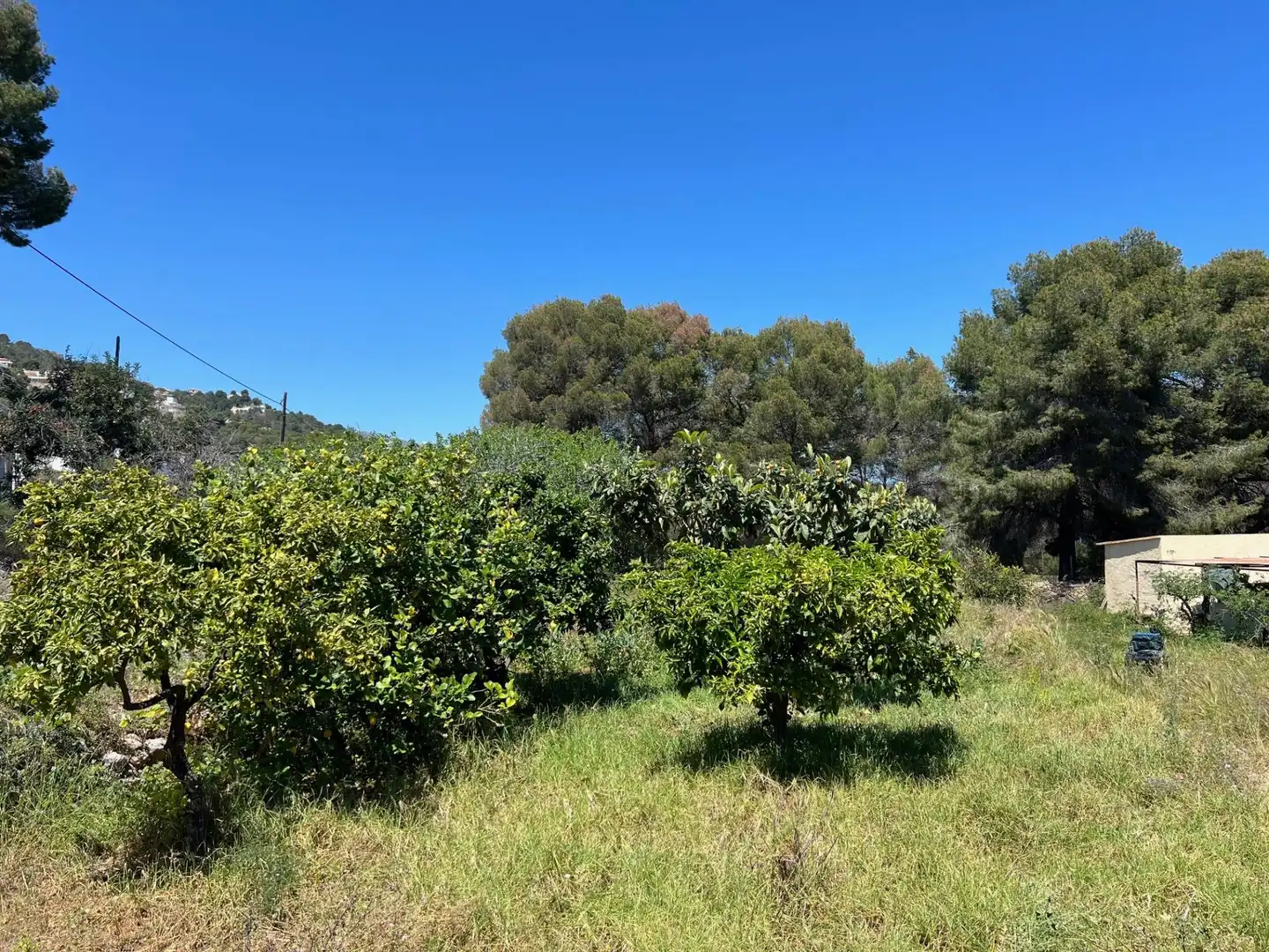 Houses for sale in Benicolada - Las Adelfas