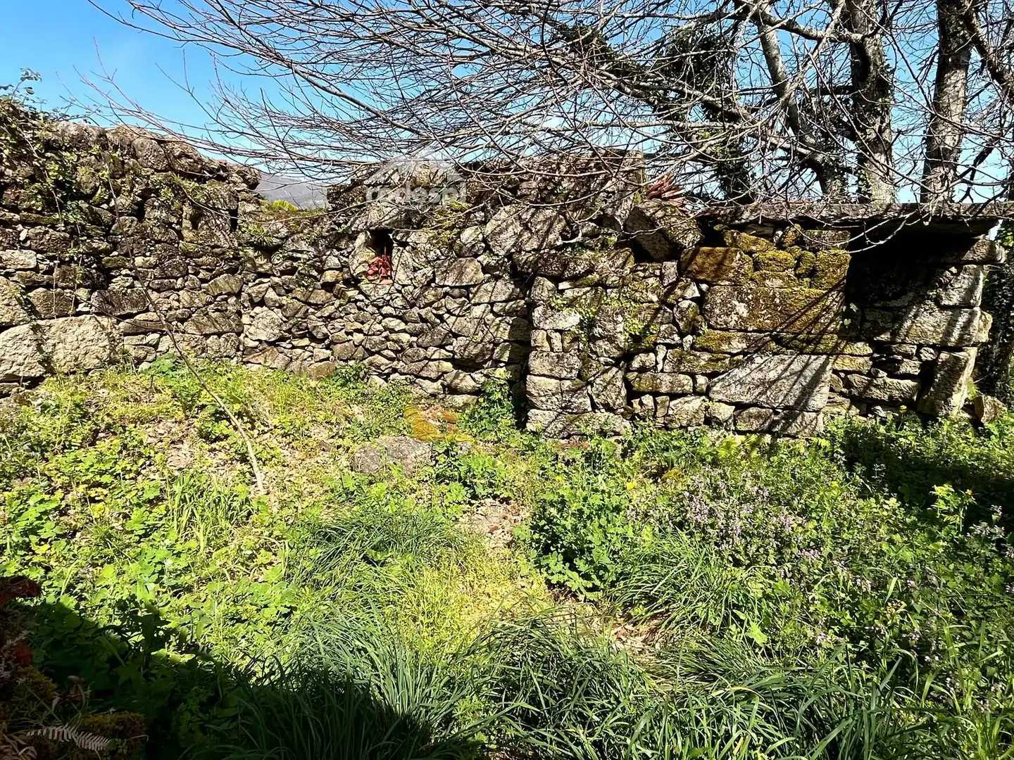 Rural land for sale in Arbo, imagen 4