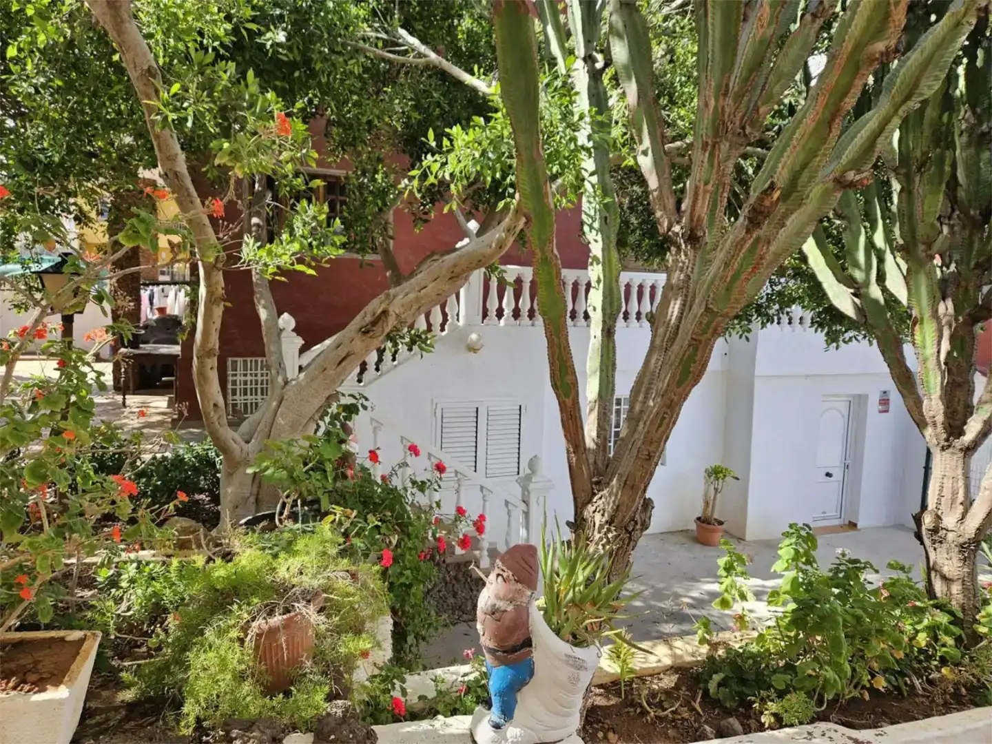 Garten von Erdgeschoss zur Miete in Las Palmas de Gran Canaria mit Privatgarten und Waschmaschine