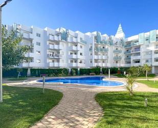 Swimming pool of Planta baja for sale in Roses  with Furnished and Community pool