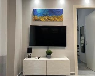 Living room of Flat to rent in  Madrid Capital  with Air Conditioner, Furnished and Pets allowed