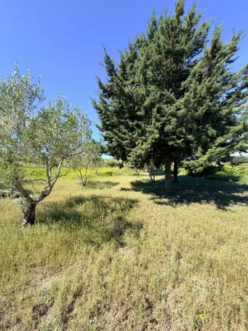 Maison rustique avec piscine à vendre à Albaida, imagen 17