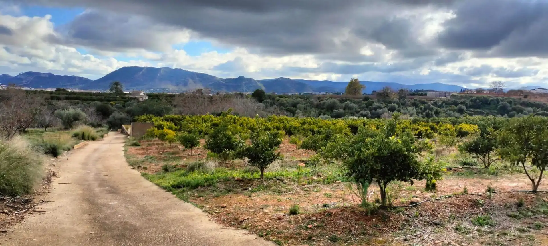 Land for sale in Rotglà i Corbera