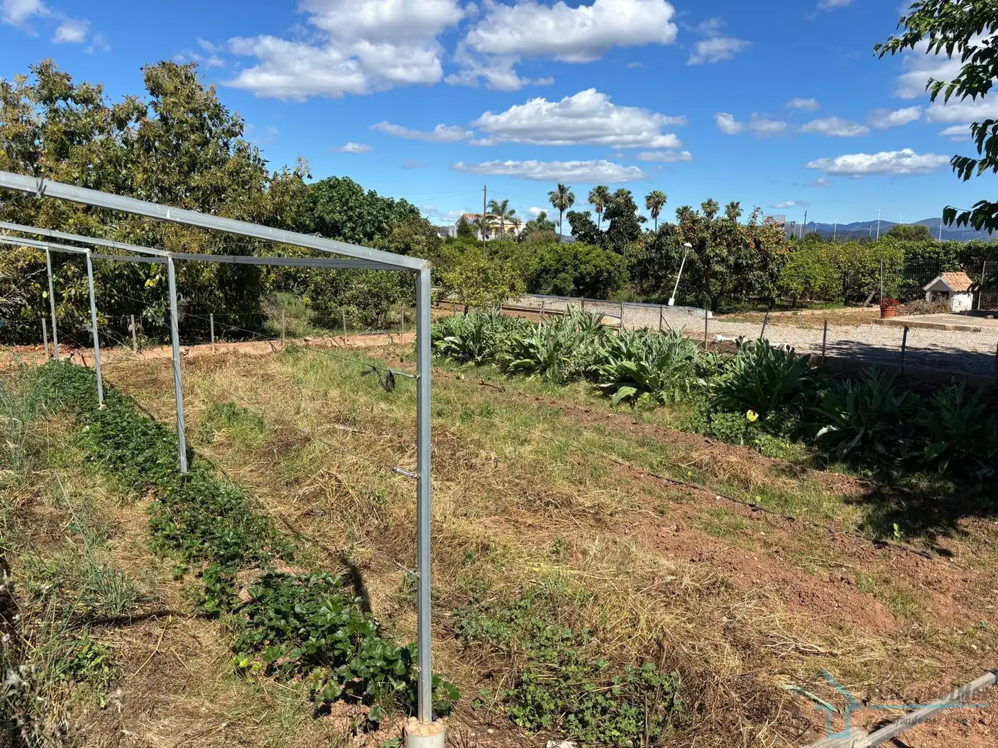 Finca rústica en venta en Corinto - Almarda