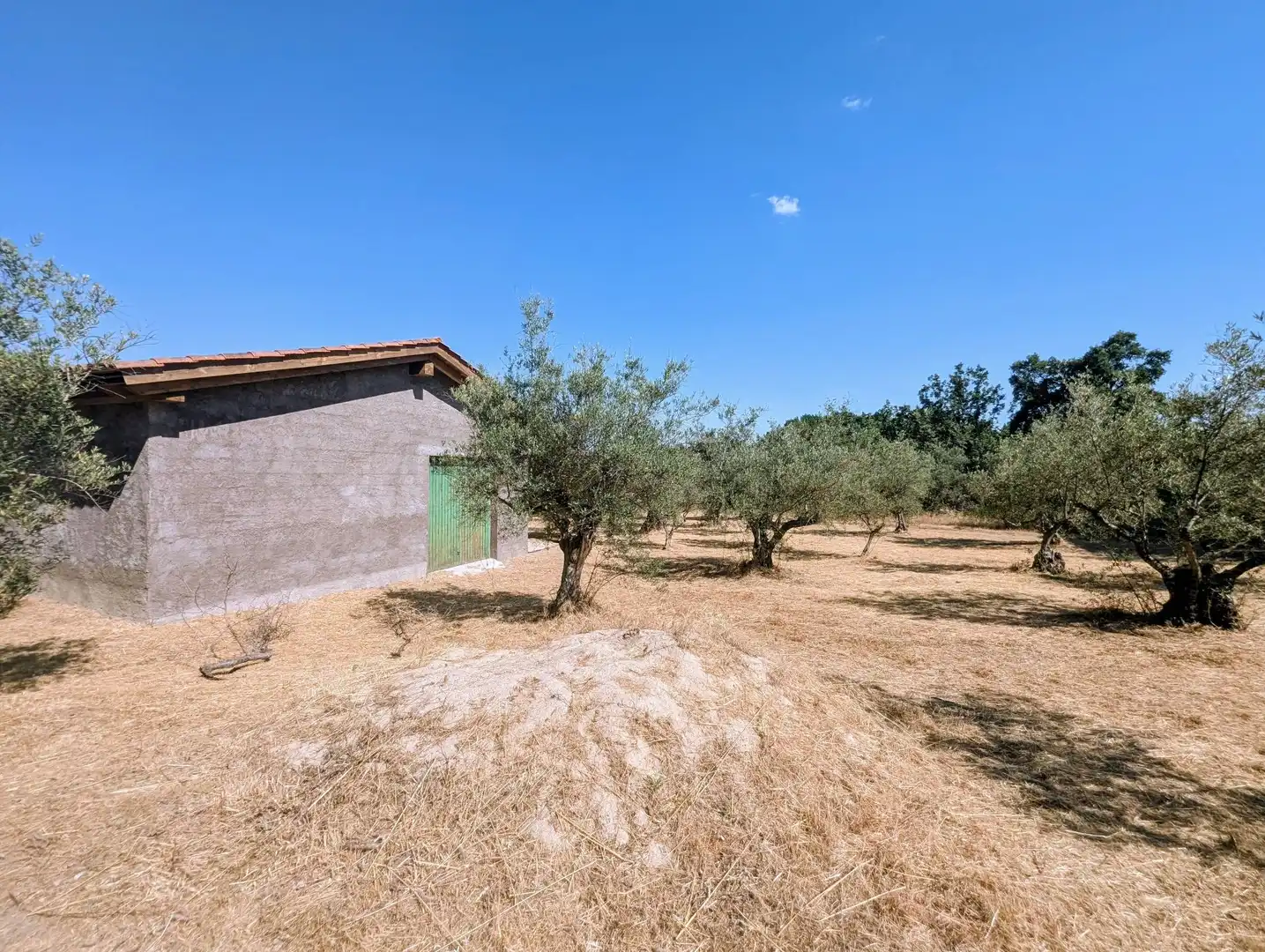 Maison à vendre à Villanueva de la Vera, imagen 53
