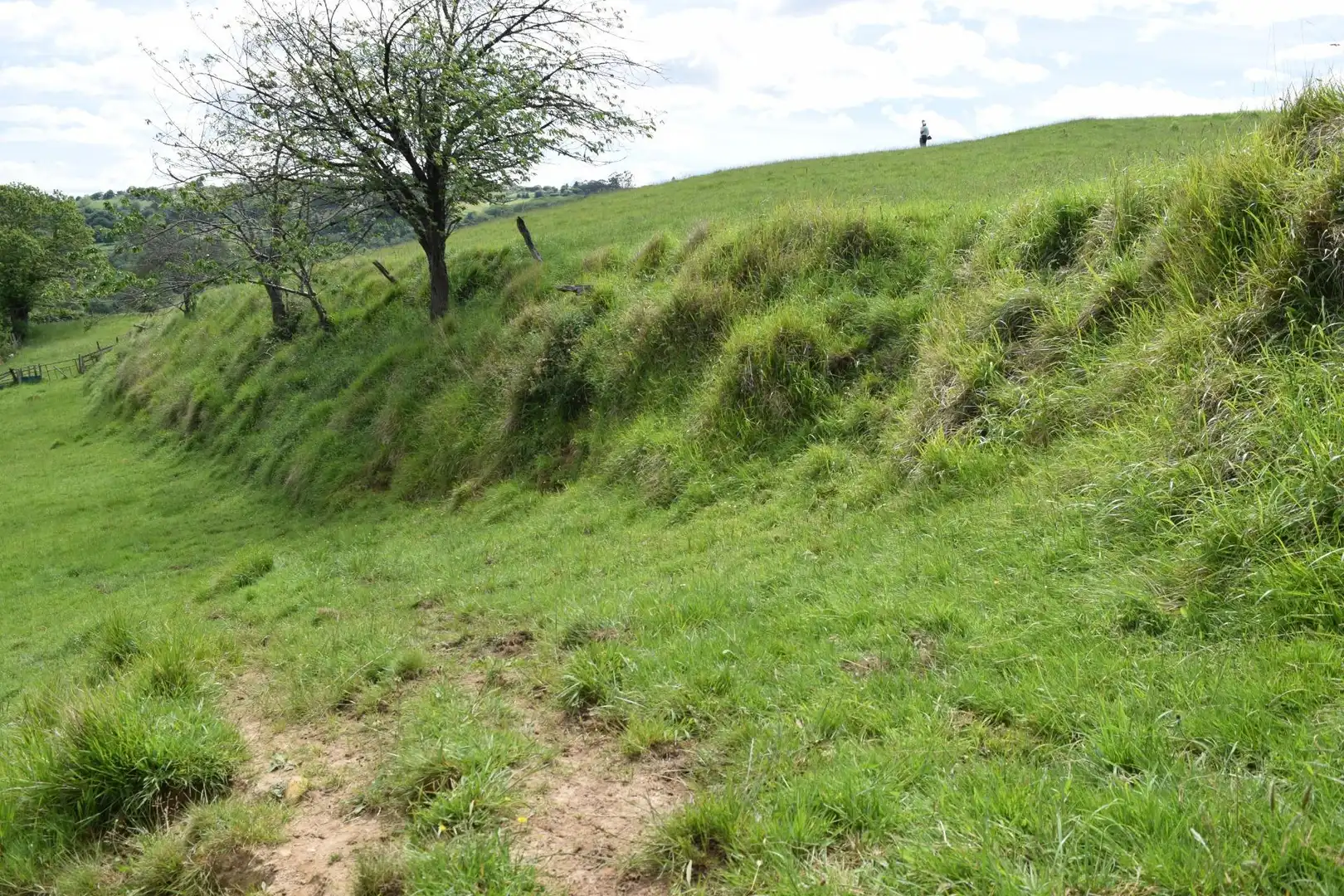 Terreno residenziale in vendita a Carretera Los Molinos 19, imagen 12