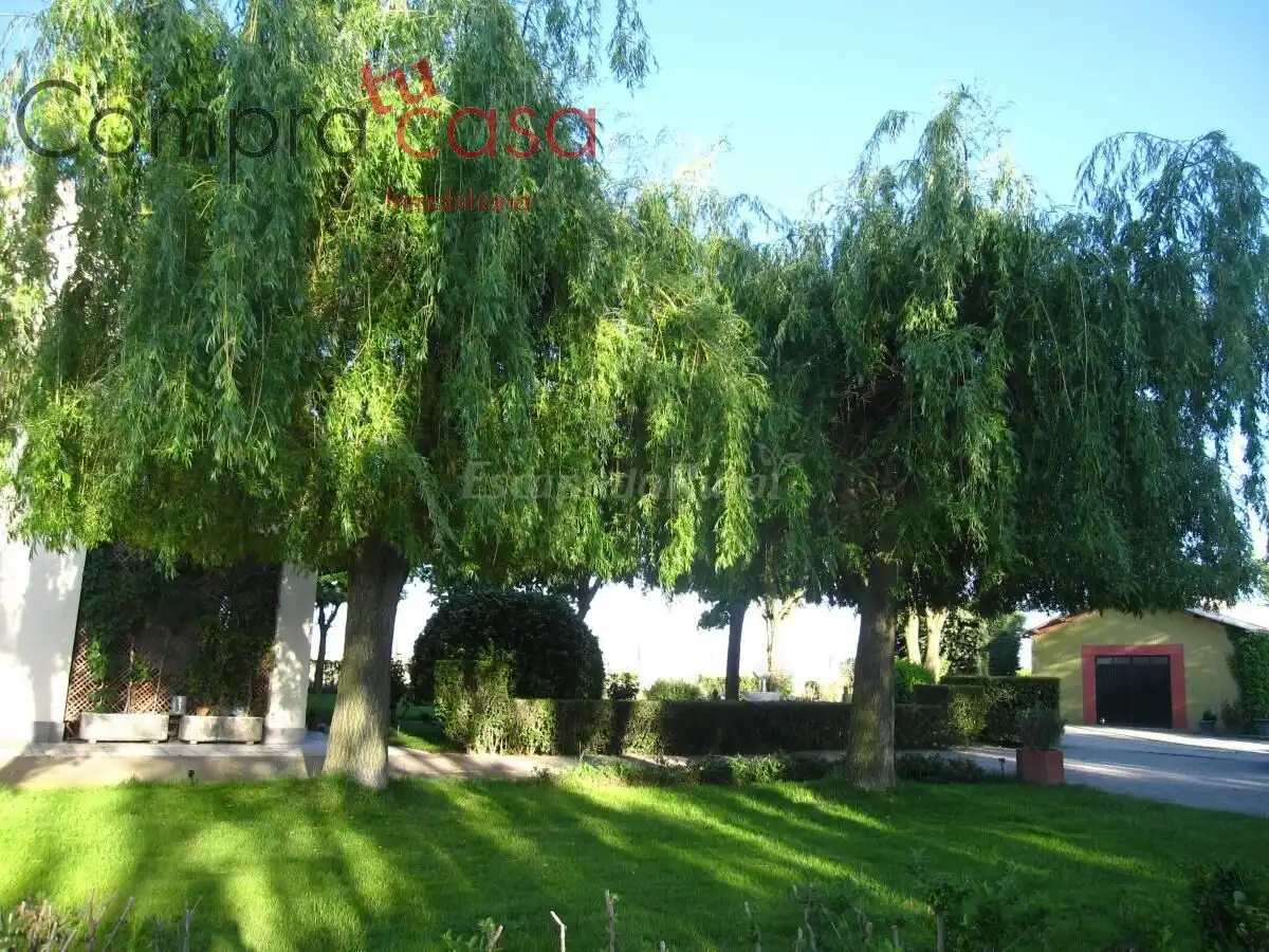 Jardín de Casa o chalet en venta en Valverde del Majano con Calefacción, Jardín privado y Terraza