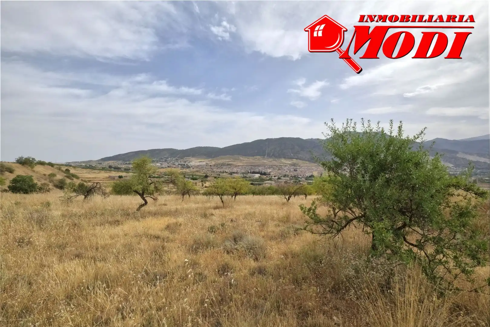 Terreni e lotti in vendita a Padul, imagen 17