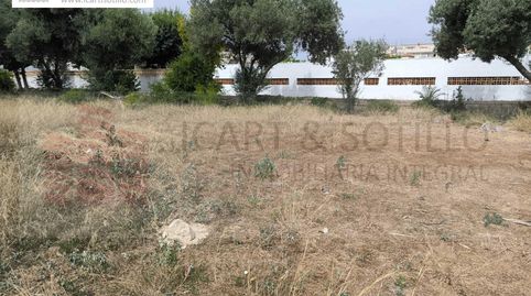 PARCELA SEGREGABLE EN VINARÒS, COSTA NORTE, imagen 2