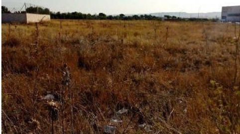 Photo 3 of Industrial land for sale in Calle Poseidón, Meco pueblo, Meco