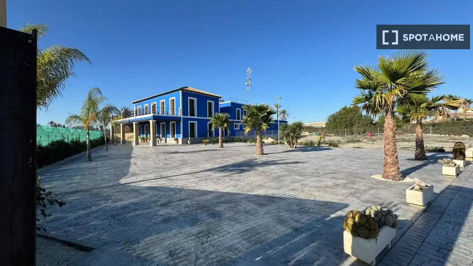 Habitació a Alzabares
