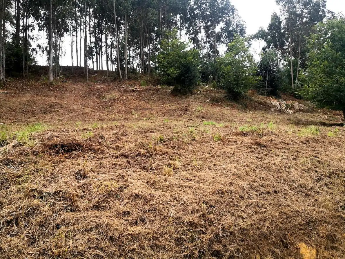 Terreni e lotti in vendita a Malpica de Bergantiños, imagen 9