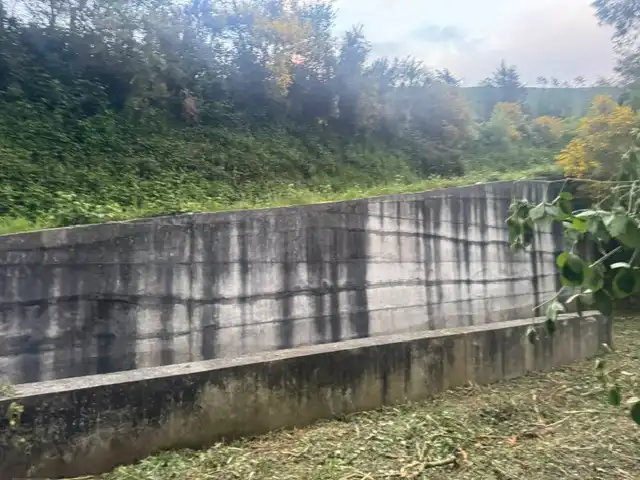 Vista exterior de Finca rústica en venta en Vegadeo