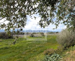 Grundstücke zum verkauf in Sant Antoni de Portmany