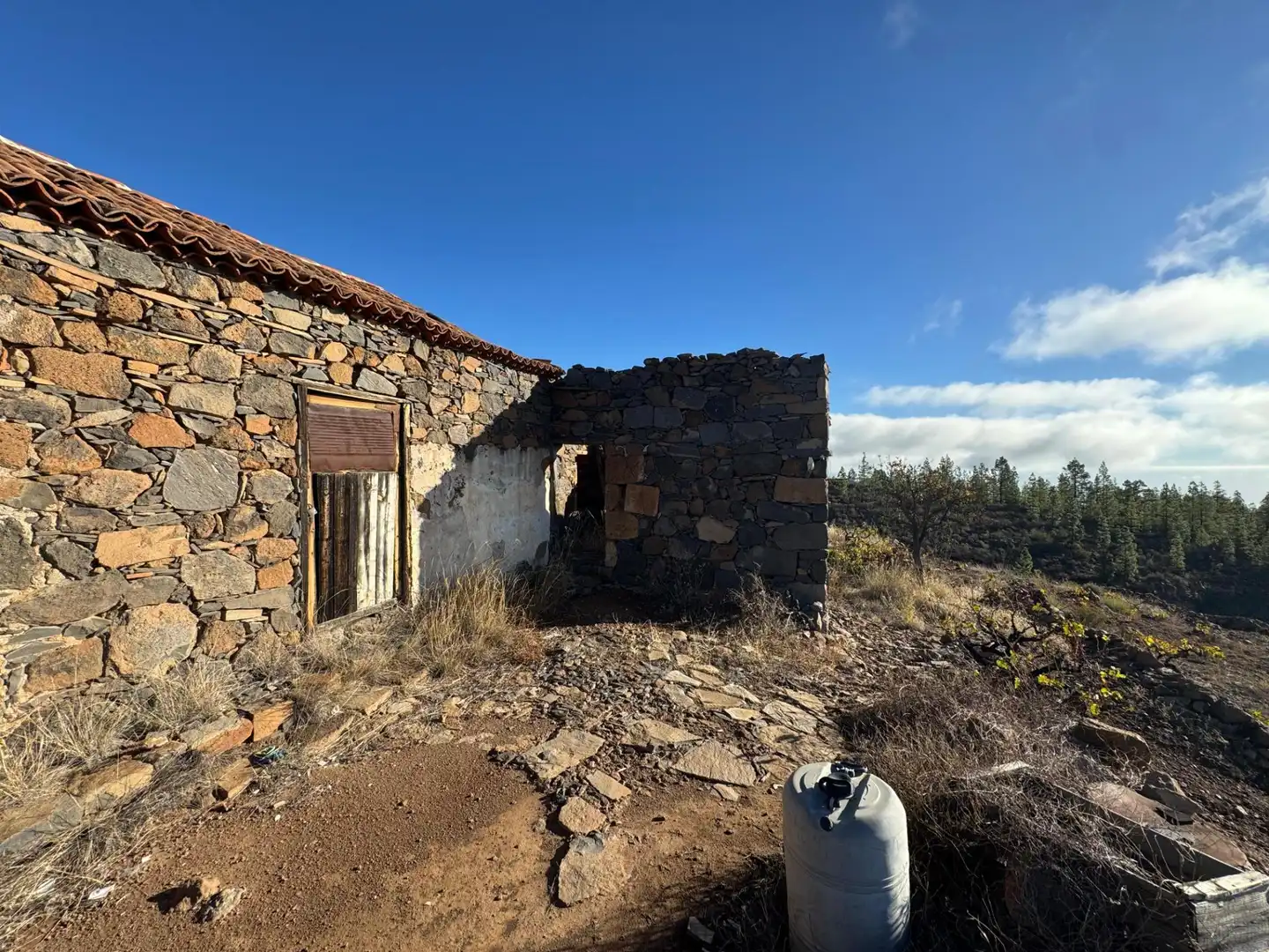 Vista exterior de Finca rústica en venta en Granadilla de Abona