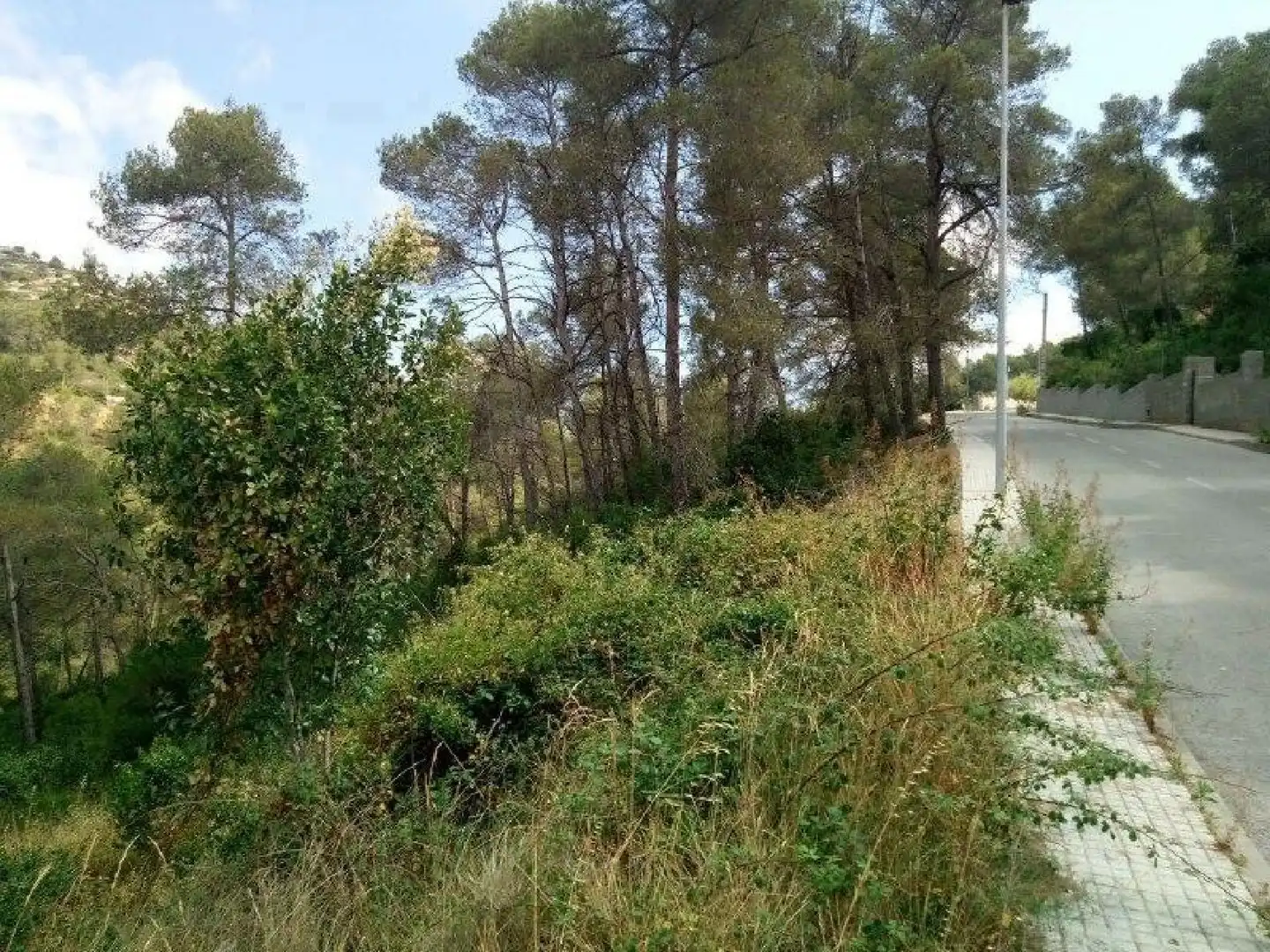 Terrenys i solars en venda a Olesa de Bonesvalls, imagen 4
