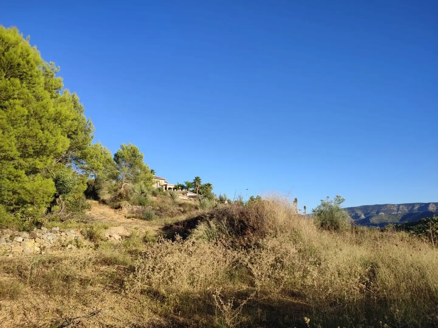 Terreny rústic en venda a Beniarbeig, imagen 3