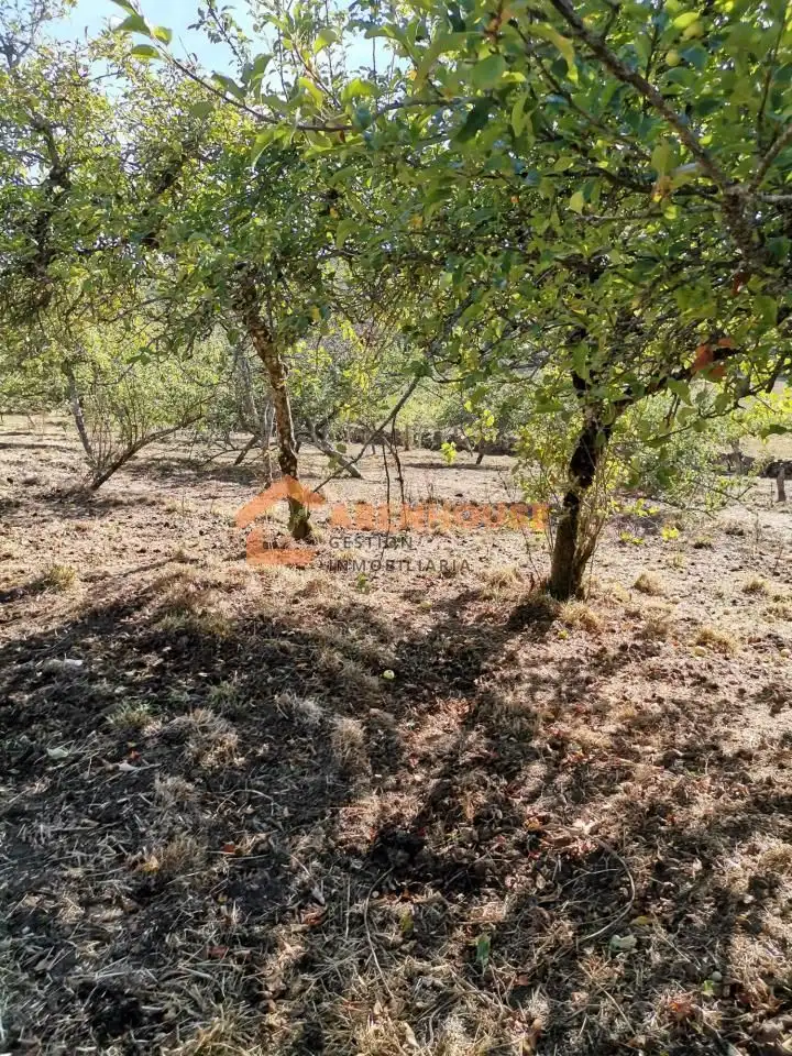 Casa amb terrassa en venda a San Cristovo de Cea, imagen 21