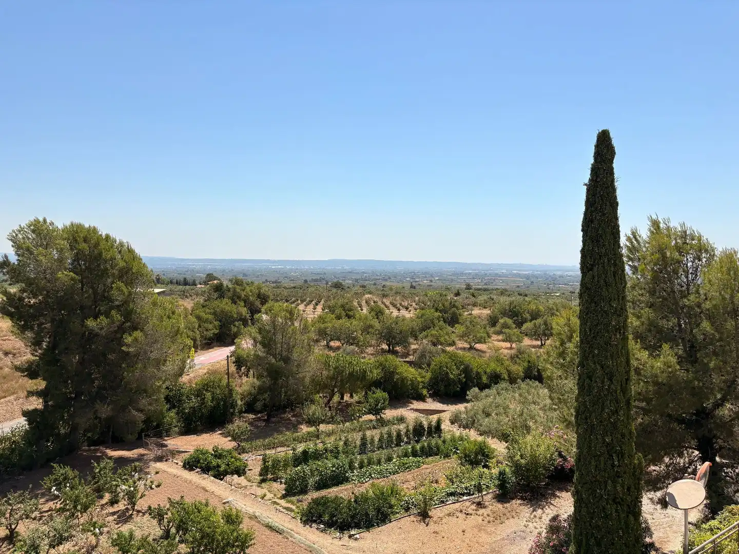 Jardín de Casa o chalet en venta en Almoster con Terraza y Trastero