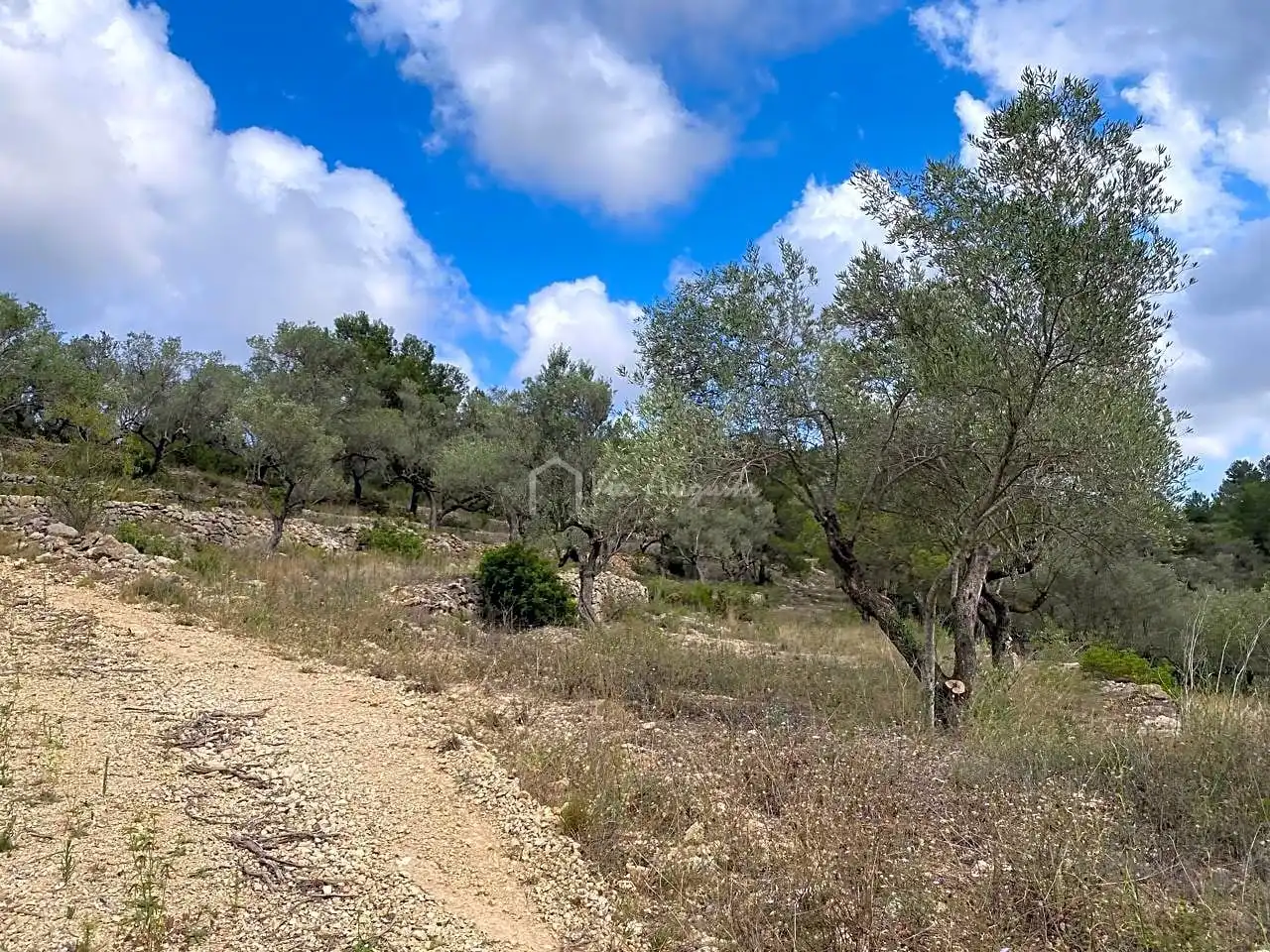 Terreno rustico in vendita a Malladetes, imagen 14