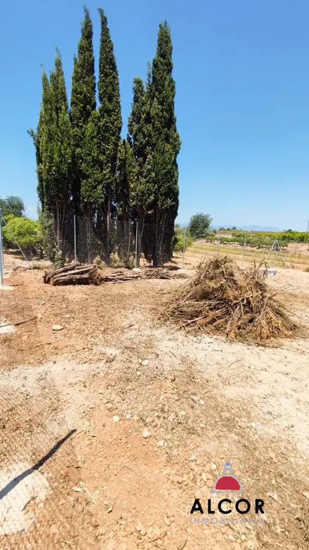 Finca rústica en venda en Vinaròs