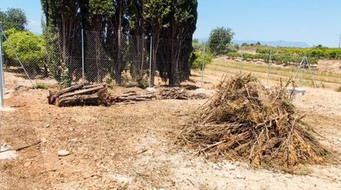 Foto 5 de Finca rústica en venda a Partidas de interior - Zona Rústica, Vinaròs
