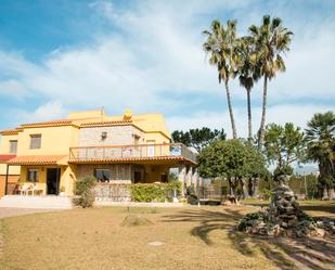 Vista exterior de Casa o xalet en venda en Castellón de la Plana / Castelló de la Plana amb Calefacció, Jardí privat i Terrassa