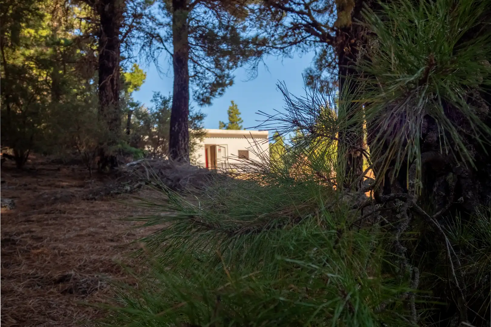 Außenansicht von Country house zum Verkauf in Tejeda mit Privatgarten und Terrasse