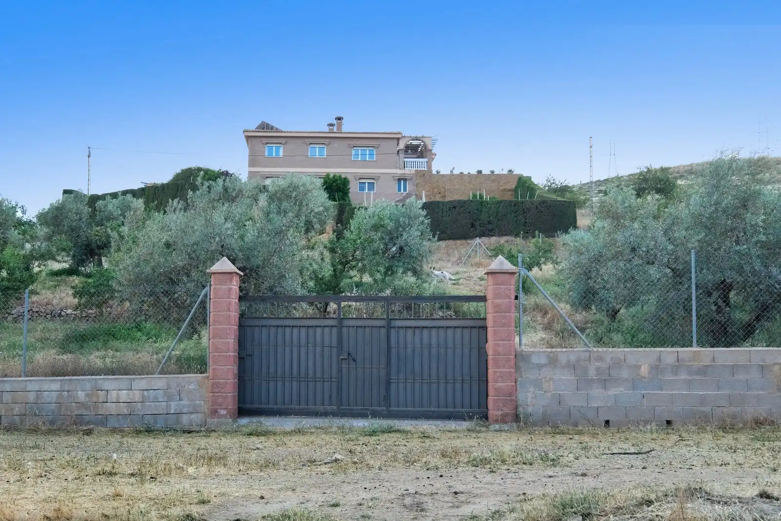 Xalet amb piscina en venda a CAMINO VIEJO DE MOTRIL, imagen 22