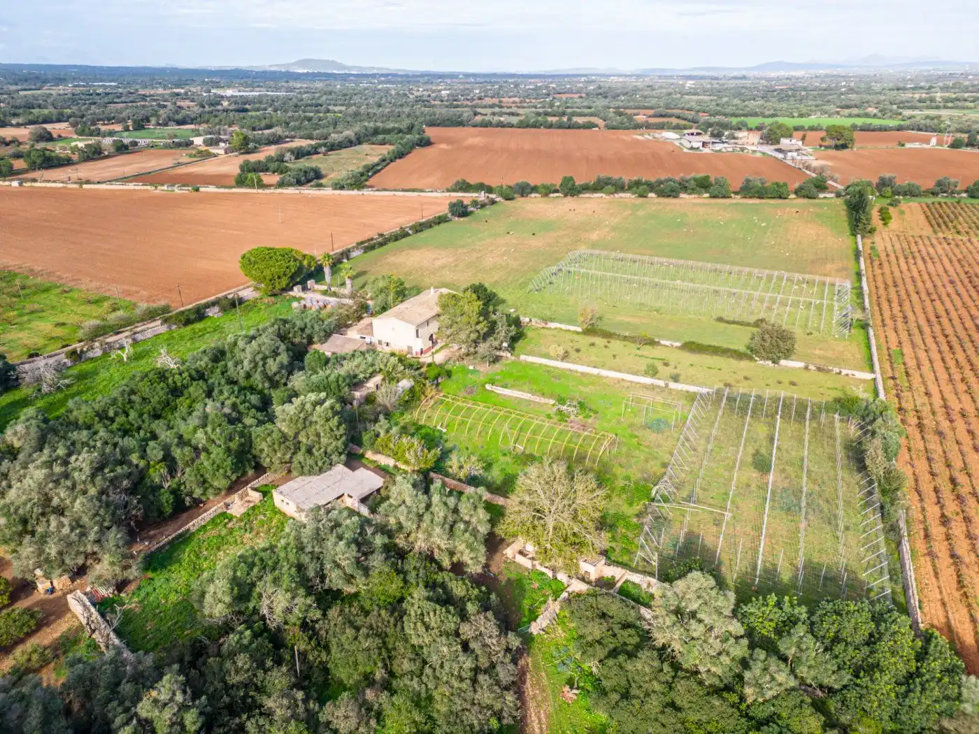 Residential land for sale in S'Horta - Cas Concos des Cavaller - Es Carritxó, imagen 32