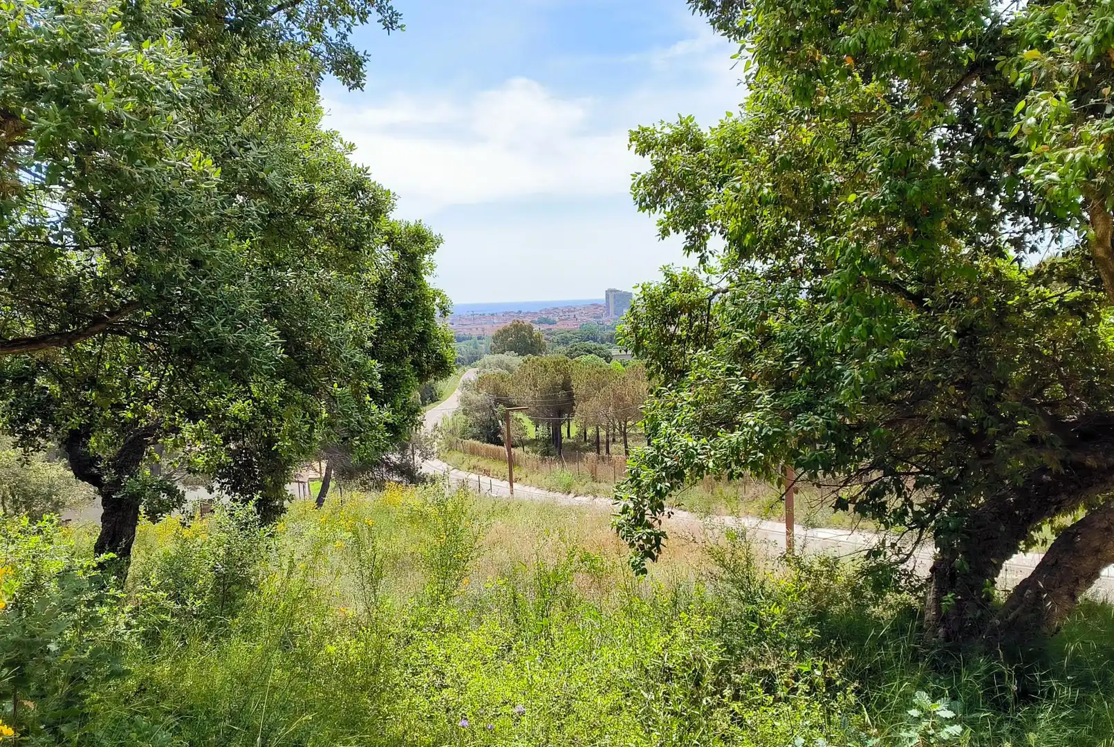 Wohnbaugrundstück zum Verkauf in Puig de sa Roca 78, imagen 3