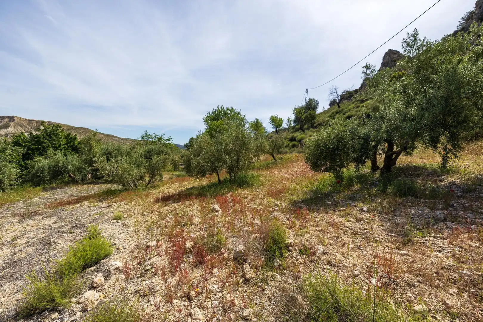 Detached house for sale in La Peza, imagen 44