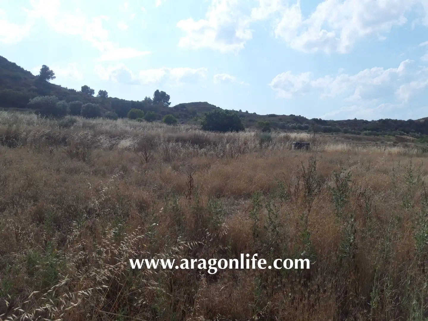 Terreni e lotti in vendita a Fabara, imagen 3