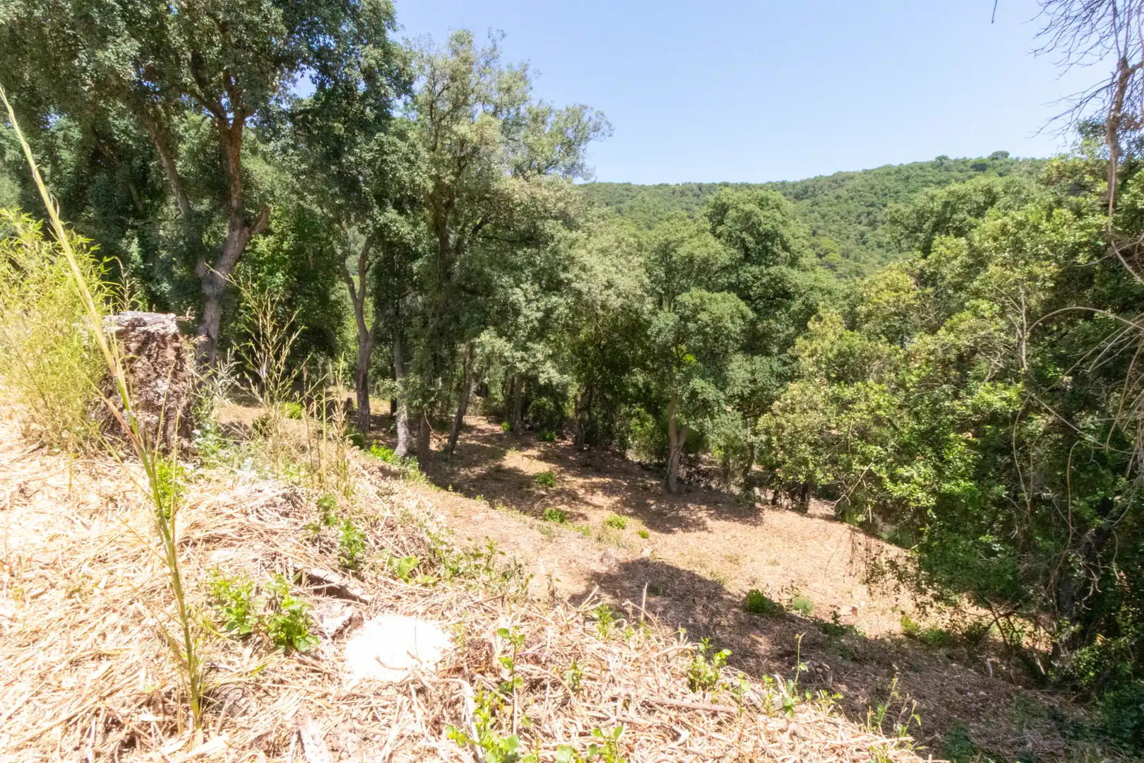 Xalet amb terrassa en venda a Sant Cebrià de Vallalta, imagen 33