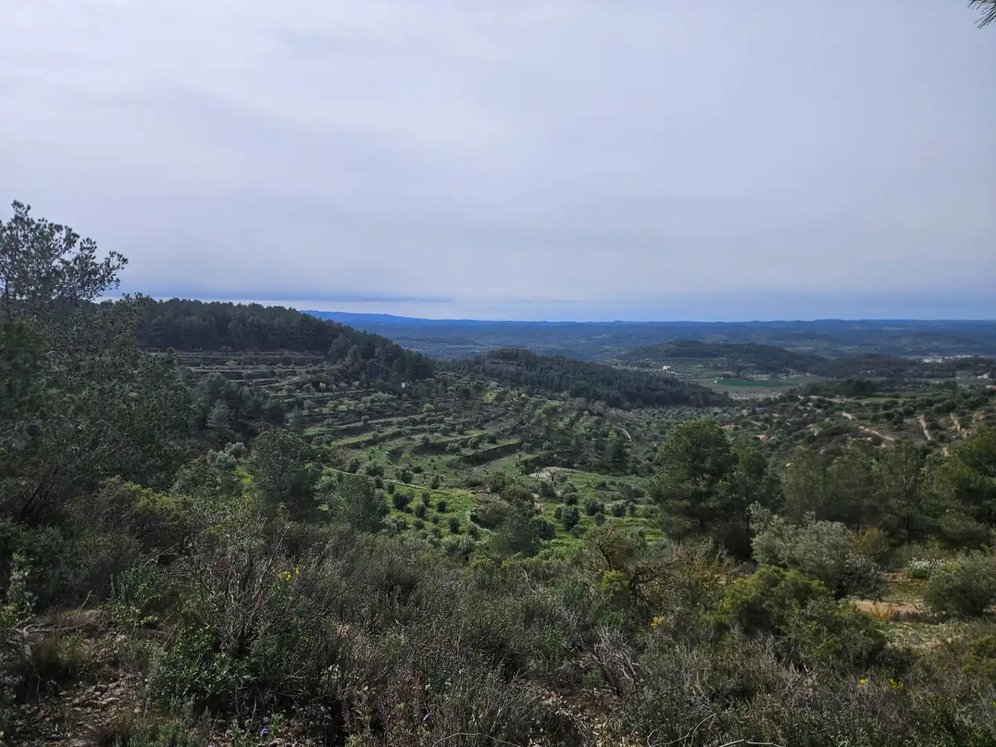 Rural land for sale in Cervià de Les Garrigues, imagen 5